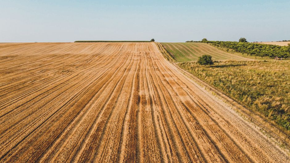 USDA Loans For Rural Startups: Your Complete Guide
